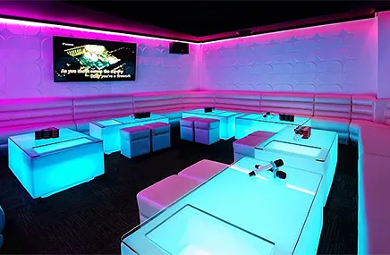 Karaoke - VIP Parties